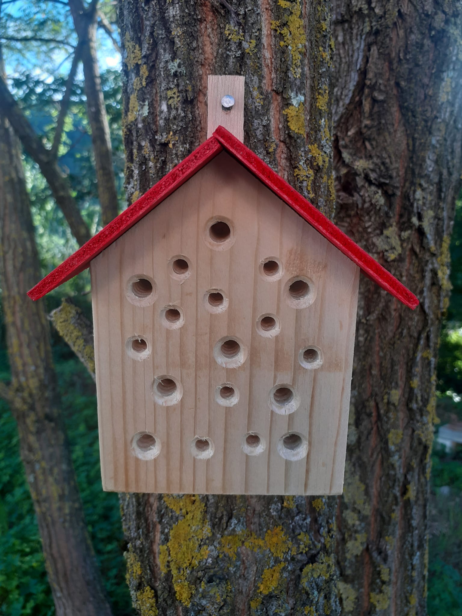 Casetta per Insetti Impollinatori - immagine 2