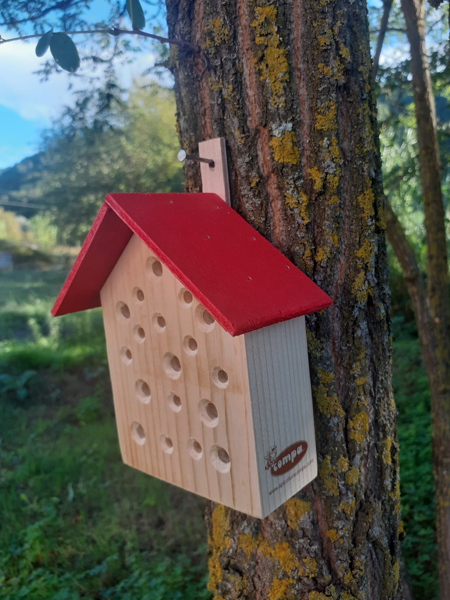 Casetta per Insetti Impollinatori - immagine 4
