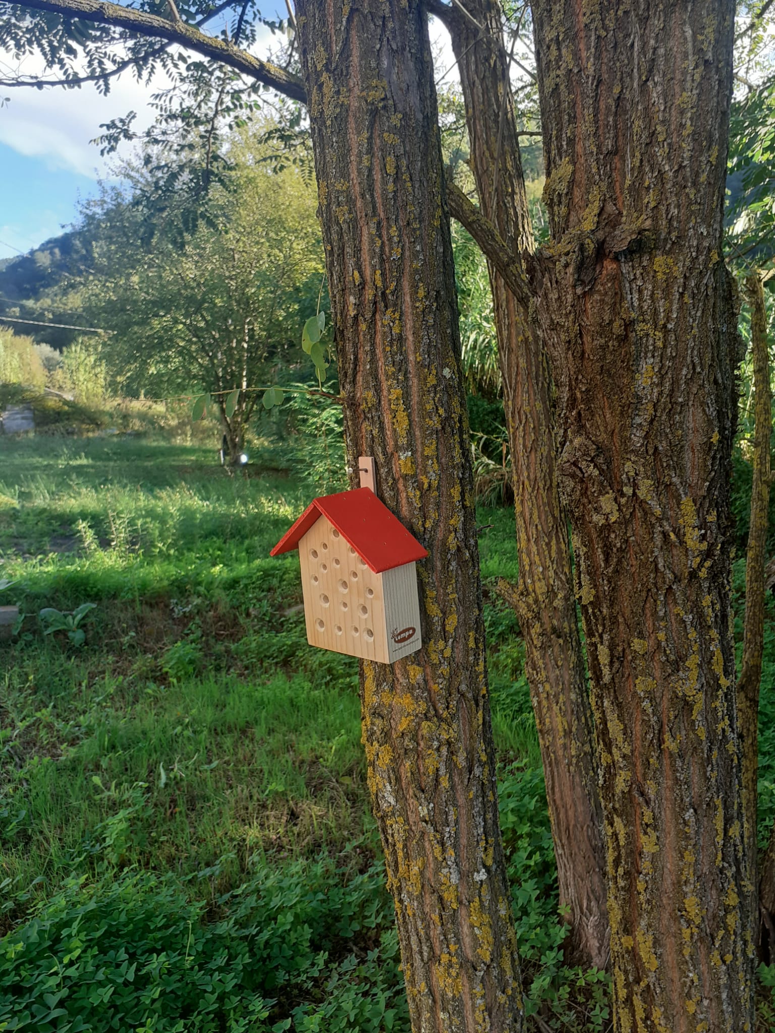 Casetta per Insetti Impollinatori - immagine 5