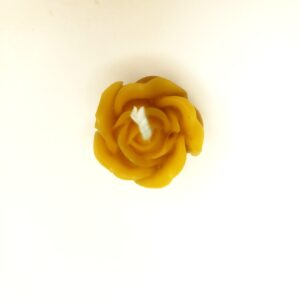 Art.392 Rosellina piccola