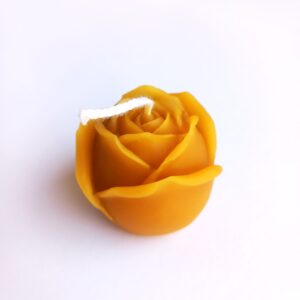 Art.394 Boccio di Rosa medio